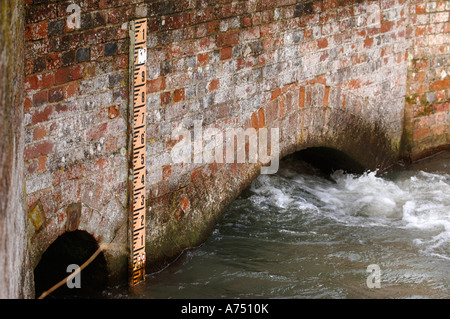 HIGH RIVER EBENEN AUF DEN FLUSS KENNET AM UNTEREN DENFORD IN DER NÄHE VON HUNGERFORD UK Stockfoto