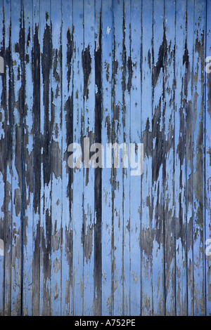 Wetter geschlagen blau bemalte Holztür Stockfoto