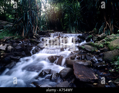 EIN DATENSTROM IN VAZHACHAL IN DER NÄHE VON CHALAKKUDY KERALA Stockfoto