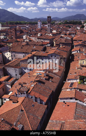 Blick über die Stadt Lucca Italien Stockfoto