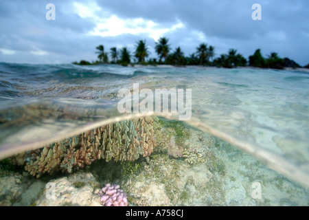 rongelap atoll