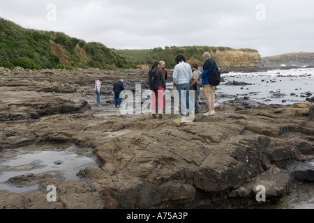Fossilen Jäger, die Suche nach versteinerten Bäumen in exponierten Felsen am Strand Curio Bay Catlins Küste süd-östlichen Southland New Zealand Stockfoto