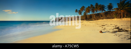 Dawn Bottom Bay South East Coast Barbados Stockfoto