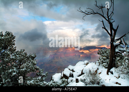 Blick auf den Grand Canyon und eine Lichtung Wintersturm aus in der Nähe von Yavapai Point Arizona Stockfoto