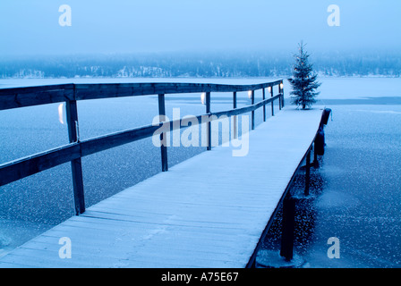 Weihnachtsbaum mit Lichtern auf einem Dock in See Fryken Värmland Schweden Stockfoto