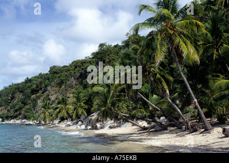 Manchioneel Bay Cooper Island British Virgin Islands Stockfoto