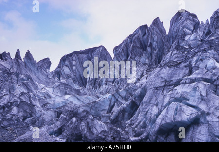 Fox Glacier Terminal Gesicht Westland National Park Südinsel Neuseeland Stockfoto