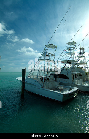 Charta Angelboote/Fischerboote in Islamorada in Florida Stockfoto