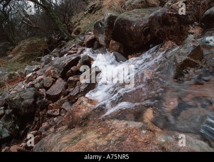 Kleiner Bach über Felsen Stockfoto