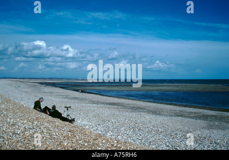 Erhöhten Kiesstrand; Pagham, in der Nähe von Selsey Bill, West Sussex, England, UK. Stockfoto