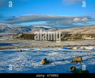 Ribblehead-Viadukt im Winter, Settle-Carlisle Railway, Ribblehead, Yorkshire Dales National Park, North Yorkshire, England, UK. Stockfoto