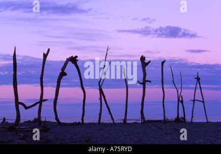 Hokitika Beach Art South Island Neuseeland Stockfoto