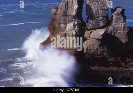 Meer-Stack auf Dolomit Point Punakaiki Paparoa National Park Südinsel Neuseeland Stockfoto