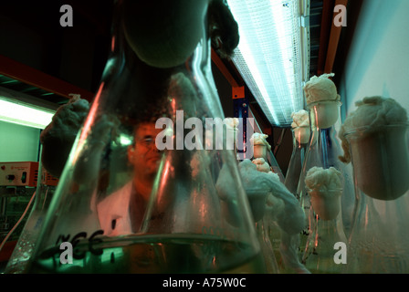 Israelische Biologe an der Yigal Allon Kinneret Limnologisches Labor am Ufer des Sees Genezareth See von Galiläa im Norden Israels Stockfoto