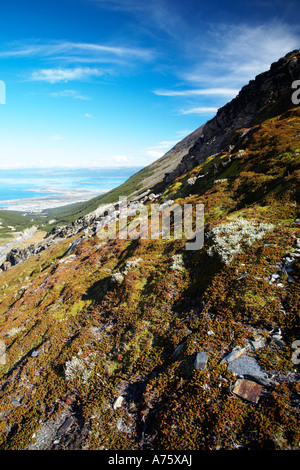 Ushuaia in Feuerland, Argentinien. Ein Blick zurück in Richtung Ushuaia aus die Berggipfel in der Nähe von Glaciar Martial. Stockfoto