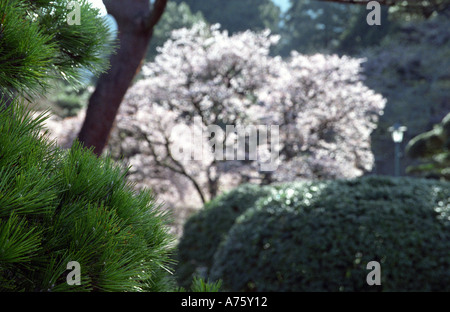 Hakone losgelöst Schlossgarten (Onshi-Hakone-Koen Park) in Hakone Japan Stockfoto