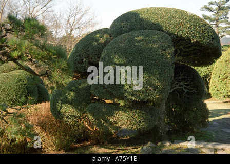 Hakone losgelöst Schlossgarten (Onshi-Hakone-Koen Park) in Hakone Japan Stockfoto