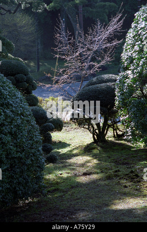 Hakone losgelöst Schlossgarten (Onshi-Hakone-Koen Park) in Hakone Japan Stockfoto