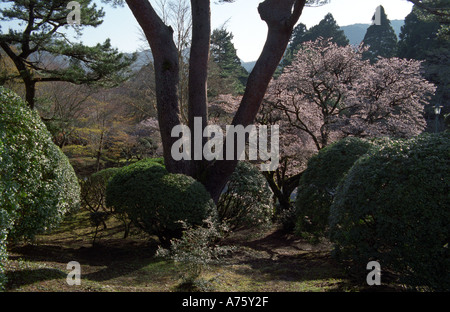 Hakone losgelöst Schlossgarten (Onshi-Hakone-Koen Park) in Hakone Japan Stockfoto