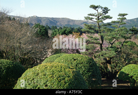 Hakone losgelöst Schlossgarten (Onshi-Hakone-Koen Park) in Hakone Japan Stockfoto