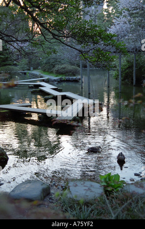 Teich in Oyama Jinja Shrine in Kanazawa, Japan Stockfoto