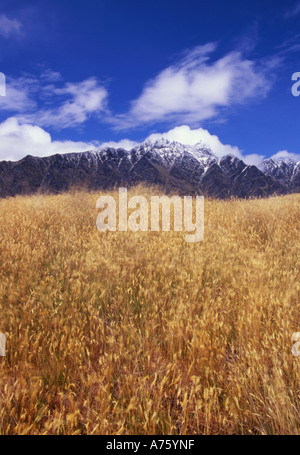 Die Remarkables aus Deer Heights Park in der Nähe von Queenstown Neuseeland Südinsel Stockfoto
