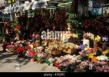 Blume Stände auf Las Ramblas in Barcelona Stockfoto