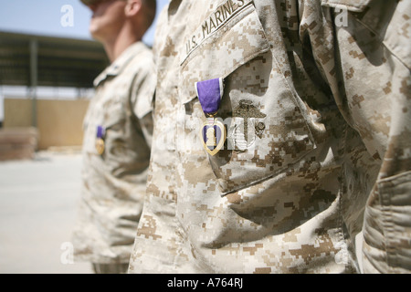 Maschine "Gunners" stehen an der Position der Aufmerksamkeit mit dem Purple Heart ausgezeichnet. Stockfoto