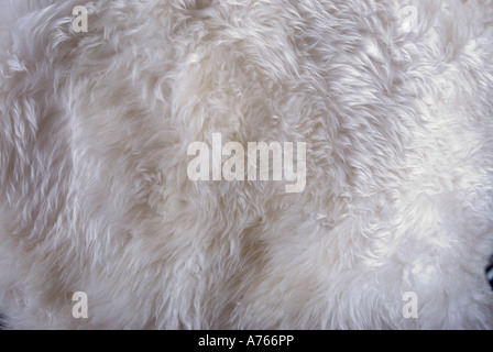 Textilstruktur, künstlicher Pelz, close-up, full frame Stockfoto