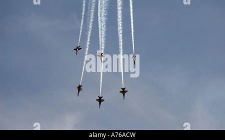 Führen Sie 31. März 2007 - der US-Navy Flug Demonstration Team, die Blue Angels aerial Demonstrationen 2007 der Airshow in. Stockfoto