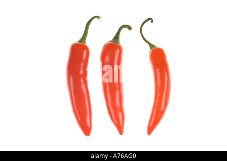 Drei helle rote Chilis in einer Reihe auf einer rein weißen Hintergrund. Stockfoto