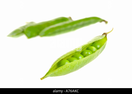 Eine Erbse Schote teilen offenere auszusetzen Erbsen mit drei Fokus Schoten im Hintergrund auf einer rein weißen Hintergrund. Stockfoto