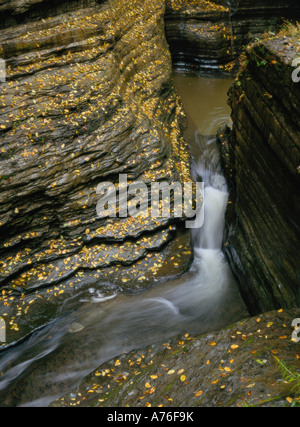 Verliebt sich in Slotcanyon, Watkins Glen State Park, Finger Lakes, NEW YORK USA Stockfoto