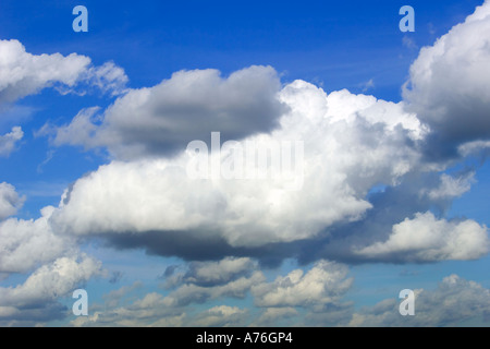 Cumulus-Wolken am blauen Himmel bilden. Stockfoto