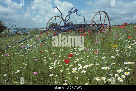 Horse Drawn Rake, und Feld Poppies Papaver Rhoeas in Wildblumenwiese Chilterns Buckinghamshire UK Juni Stockfoto