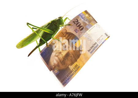 Heuschrecke sitzen auf 200 Franken Note, Nahaufnahme Stockfoto