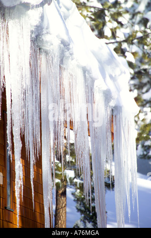 Eiszapfen hängen von der Dachterrasse des Gebäudes/Holzhaus. Stockfoto