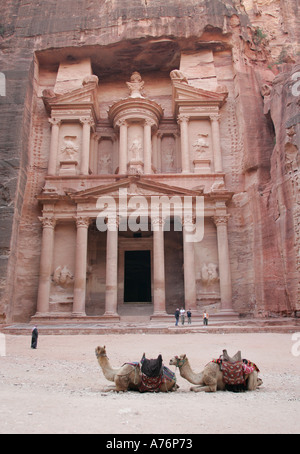 Kamele vor Al Khazneh Schatzkammer, Petra, Jordanien ruht. Stockfoto