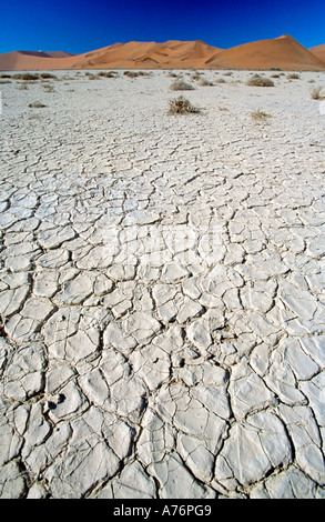 Namibische Wüstenlandschaft mit getrockneten Sträucher auf ein ausgetrocknetes Flussbett und Dünen im Hintergrund. Stockfoto