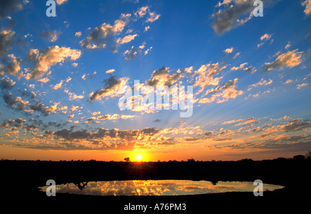 Dramatischen Sonnenuntergang über den Serengeti Nationalpark und reflektiert in einem Wasserloch. Stockfoto