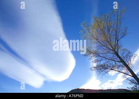 Abendhimmel mit ungewöhnlichen Cirrostratus Wolkenformationen. Stockfoto