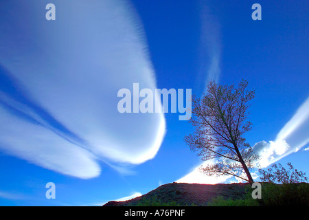 Abendhimmel mit ungewöhnlichen Cirrostratus Wolkenformationen. Stockfoto