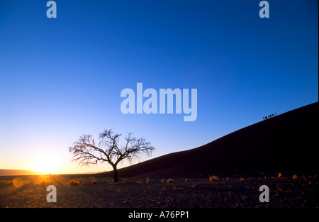 Touristen, die Düne 45 in Namibia Emissionshandelsystem, da sie in den frühen Morgenstunden klettern. Stockfoto