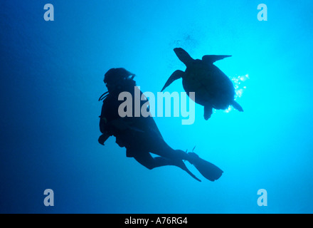 Eine grüne Meeresschildkröte (Chelonia Mydas) und ein Taucher unter Wasser Silhouette Contre-jour. Stockfoto