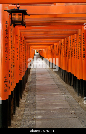Orange lackiert Torii-Tore im Fushimi Inari-Taisha Schrein in Kyoto Japan eine hängende Laterne Stockfoto