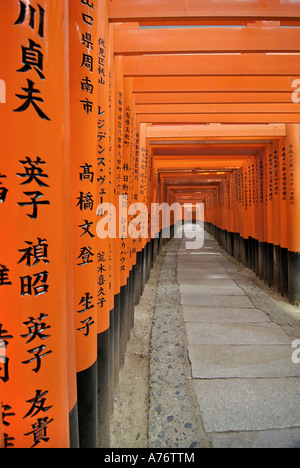 Orange lackiert Torii-Tore im Fushimi Inari-Taisha Schrein in Kyoto Japan Kanji eingeschriebene Holzpfosten Stockfoto