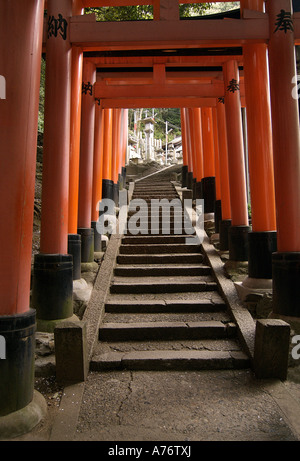 Orange lackiert Torii-Tore im Fushimi Inari-Taisha-Schrein in Kyoto Japan Stockfoto