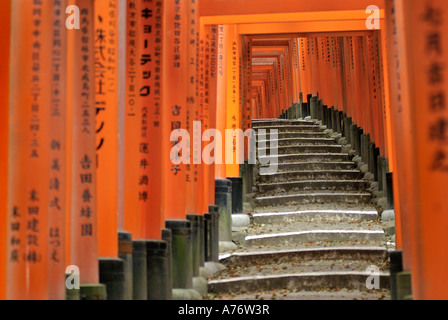 Orange lackiert Torii-Tore im Fushimi Inari-Taisha-Schrein in Kyoto Japan Stockfoto