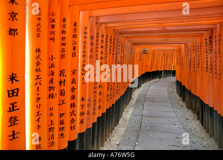 Orange lackiert Torii-Tore im Fushimi Inari-Taisha Schrein in Kyoto Japan Kanji eingeschriebene Holzpfosten Stockfoto