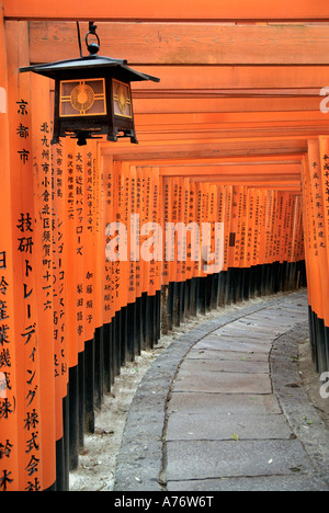 Orange lackiert Torii-Tore im Fushimi Inari-Taisha-Schrein in Kyoto Japan hängende Laterne Stockfoto